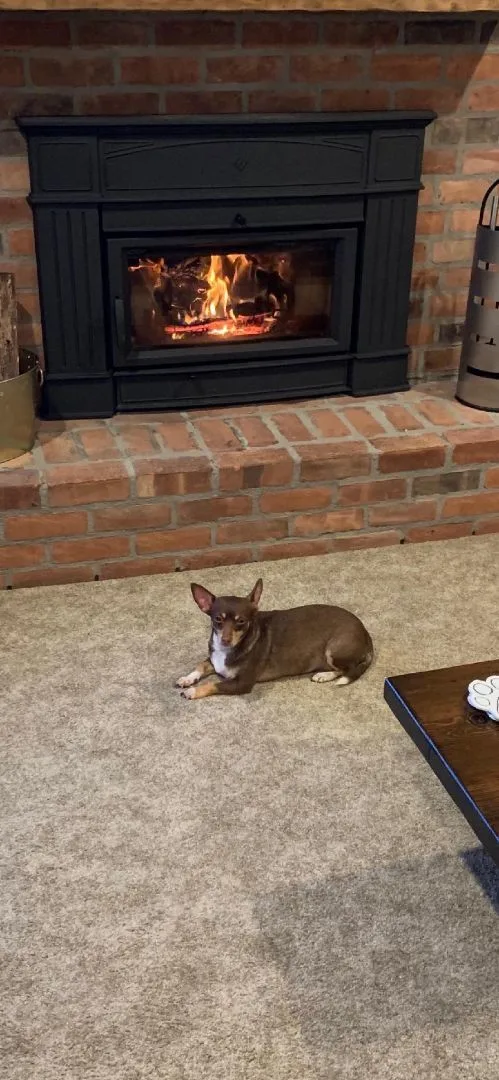 Coco Bean Sanctuary thumbnail 3