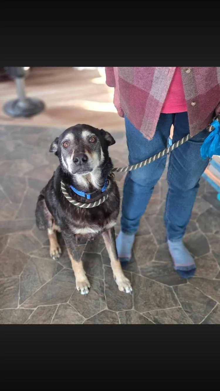 Hero thumbnail 4