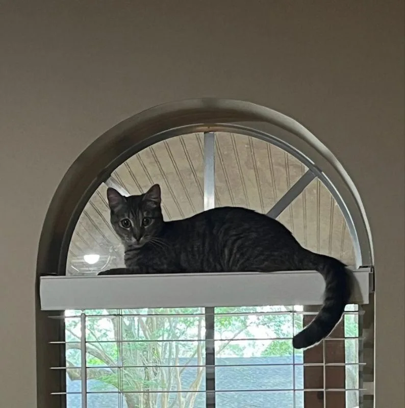 Little Girl thumbnail 2