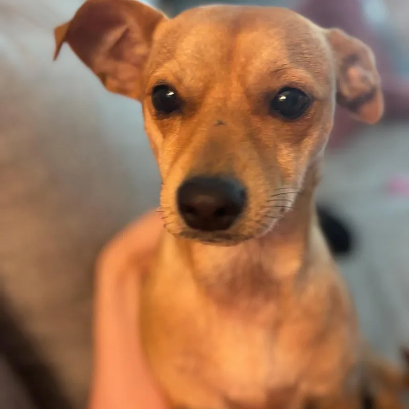 Chloe thumbnail 2