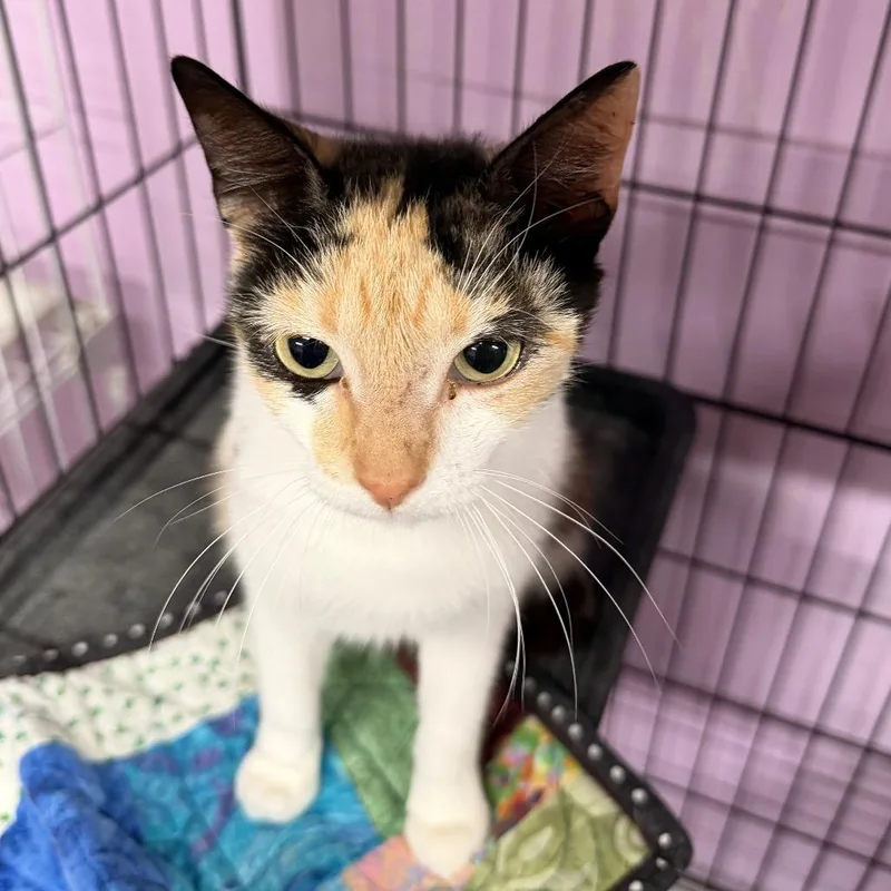 Maybe It's Maybelline thumbnail 2