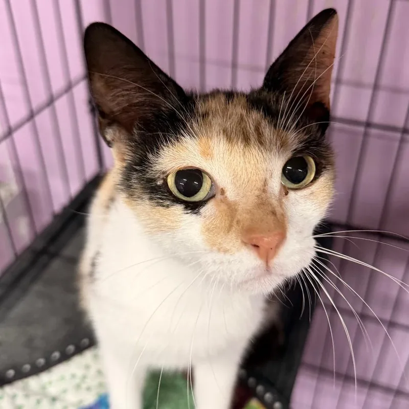 Maybe It's Maybelline thumbnail 3