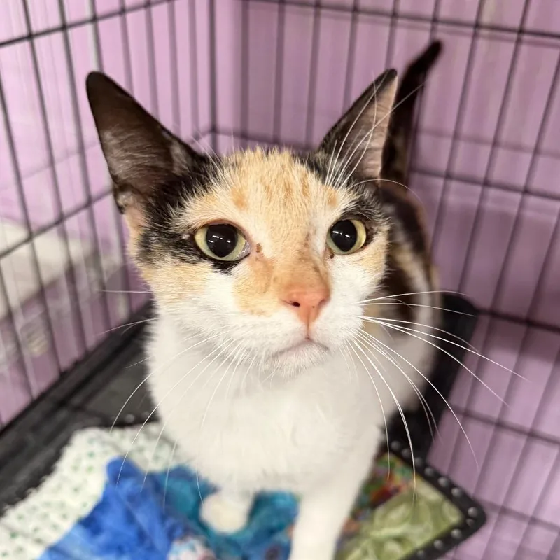 Maybe It's Maybelline thumbnail 4