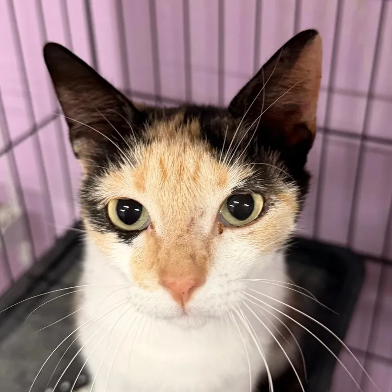 Maybe It's Maybelline thumbnail 5