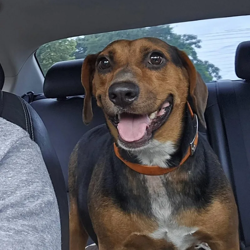 Tilly thumbnail 2