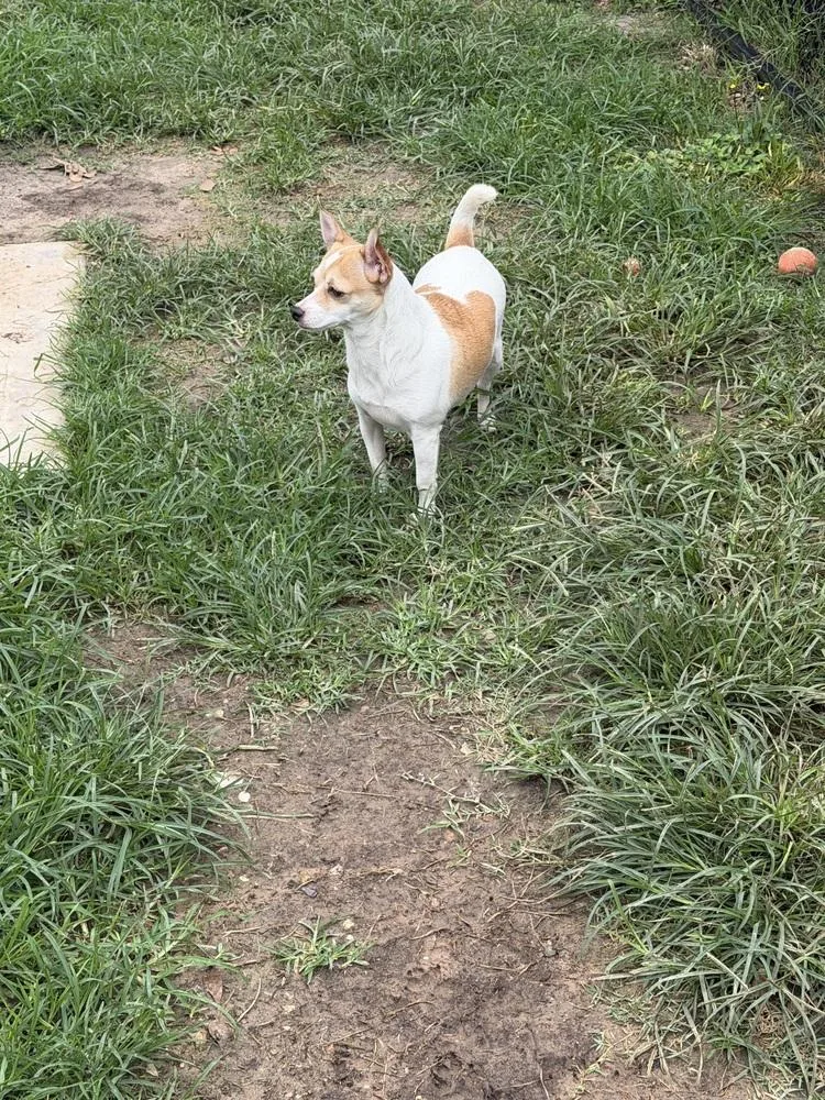 Loretta