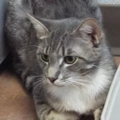 Discover thumbnail 3