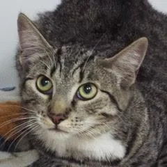 Discover thumbnail 4