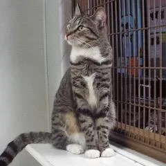 Discover thumbnail 5