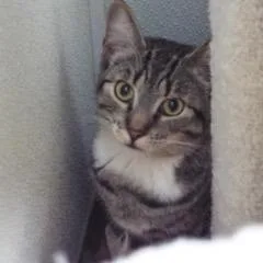 Discover thumbnail 6