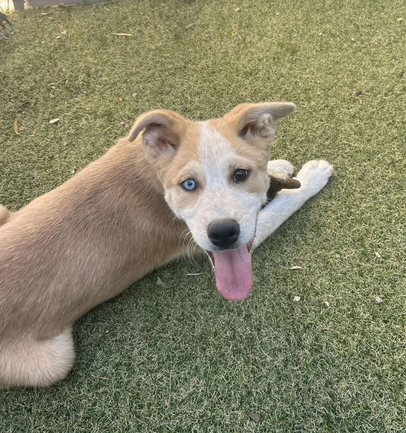 Grandview thumbnail 2