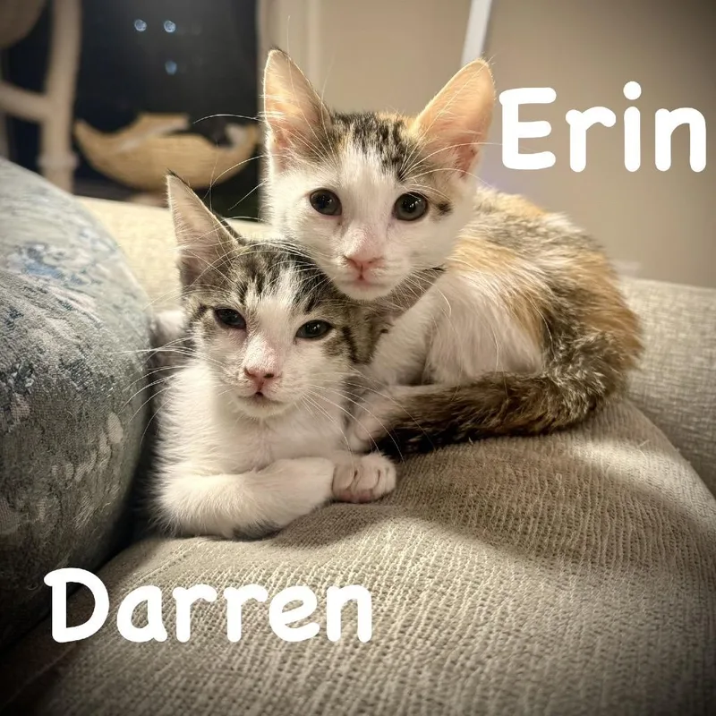 Erin thumbnail 2