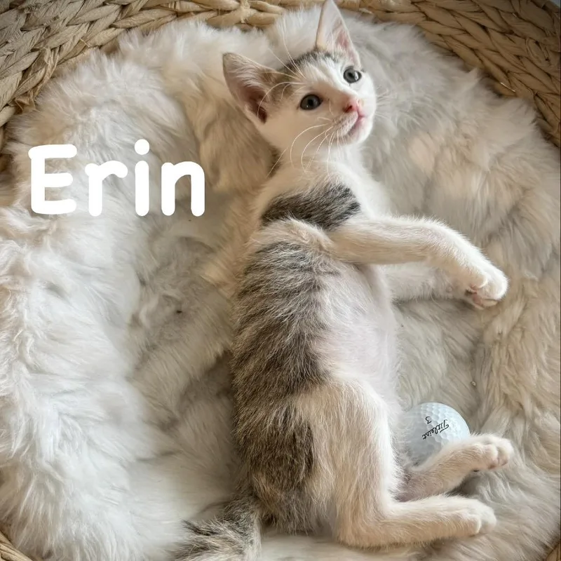 Erin thumbnail 5