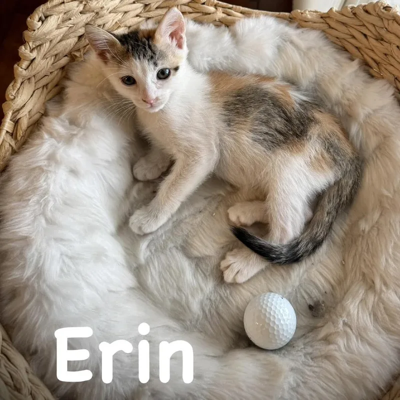 Erin thumbnail 6
