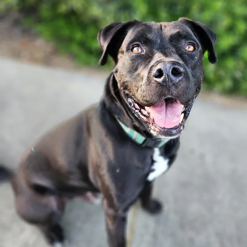 Riley Chino Hills Location