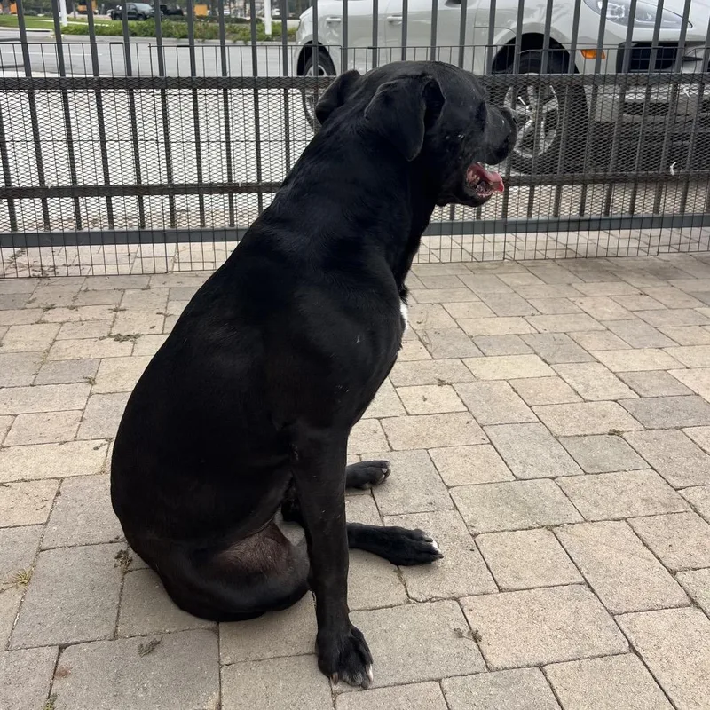 Riley Chino Hills Location thumbnail 4