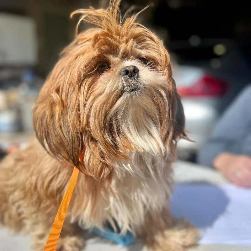 Harajuku thumbnail 2