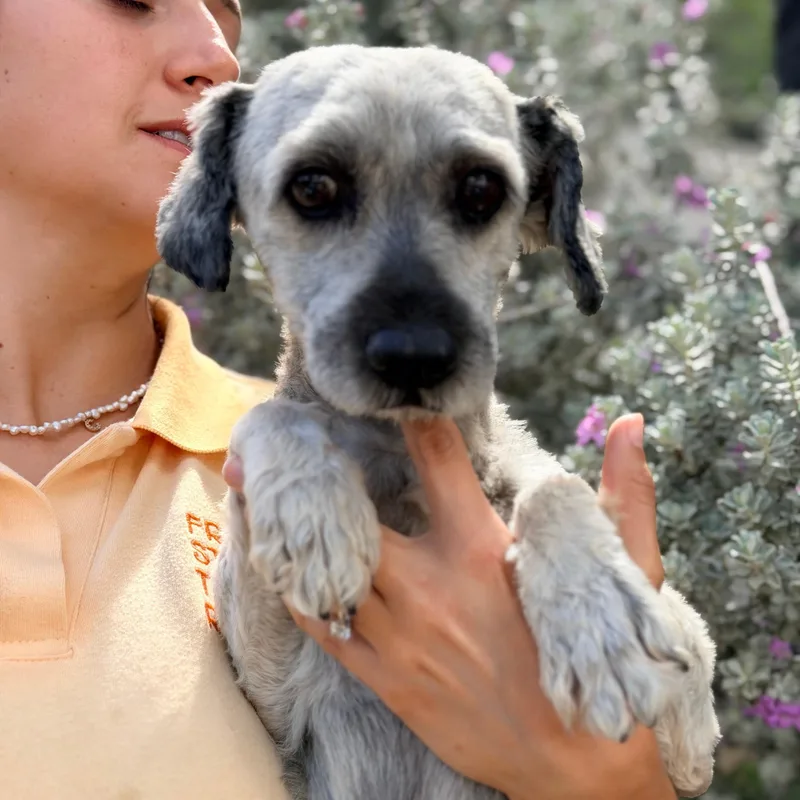 Walter thumbnail 6