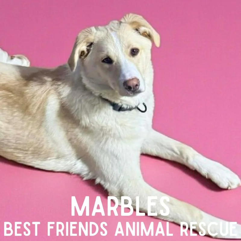 Marbles thumbnail 4