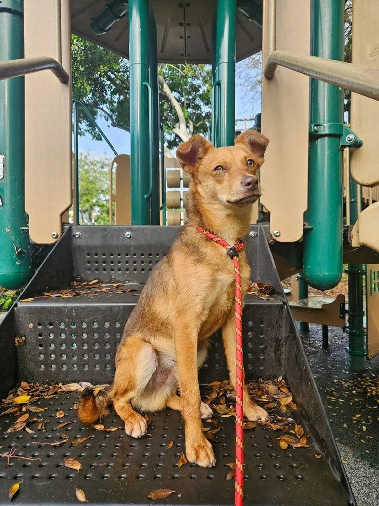 Cinnabon Man! thumbnail 2