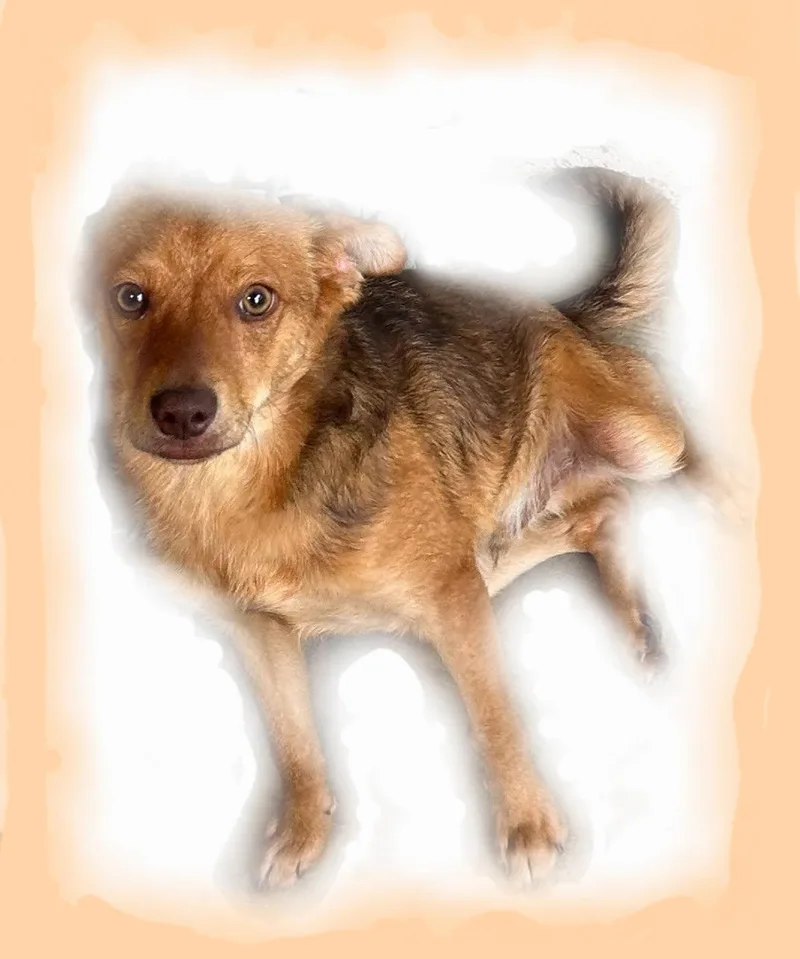 Cinnabon Man! thumbnail 4