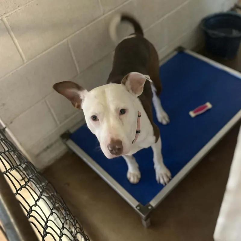 Catherine thumbnail 2