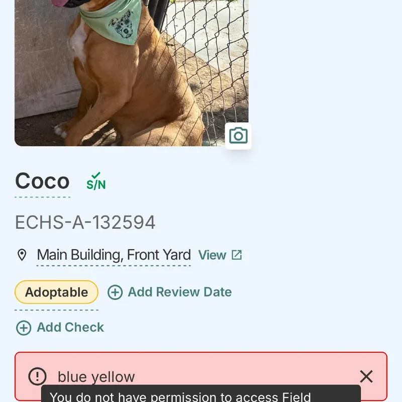 Catherine thumbnail 3