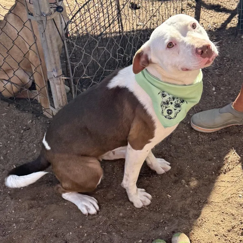 Catherine thumbnail 4