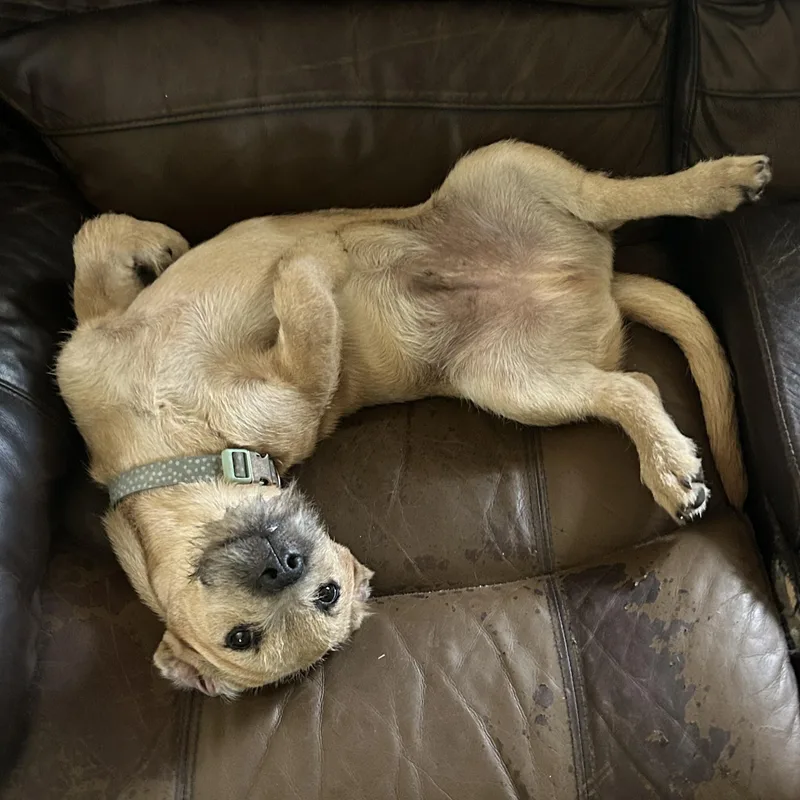 Tootsie Roll thumbnail 3