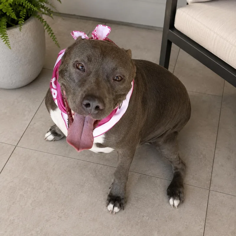 Chloe