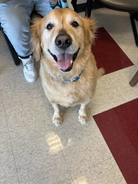 Sparky A