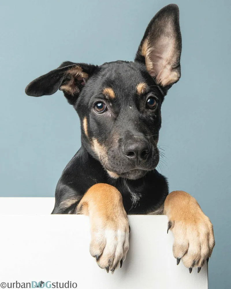 Tater  M