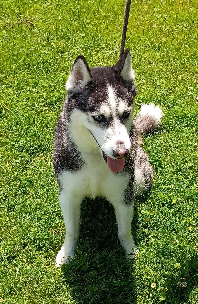 Sabine