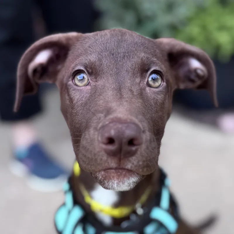 Luna
