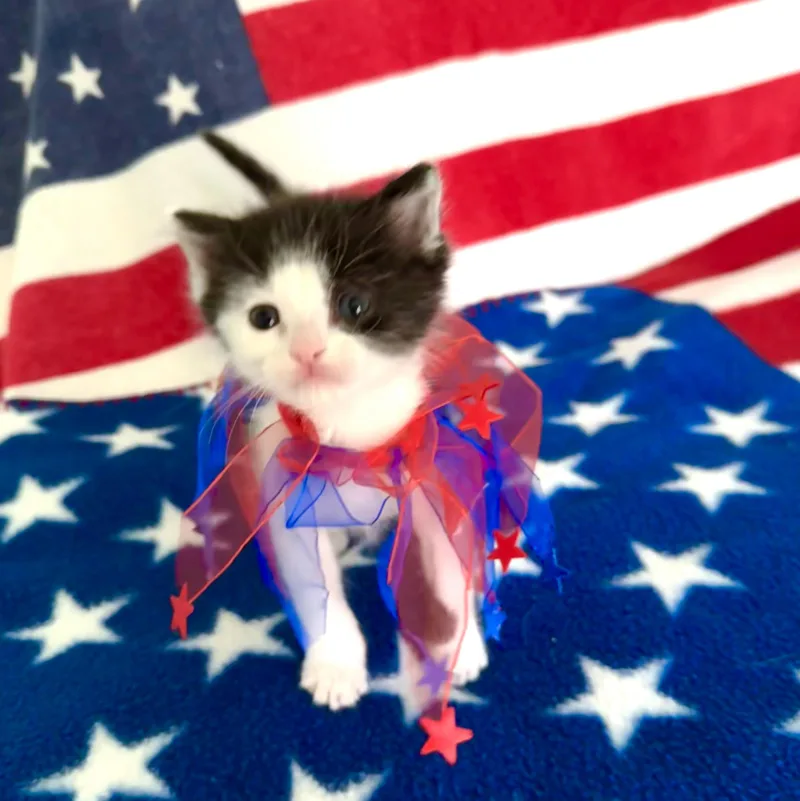 Maggie thumbnail 3