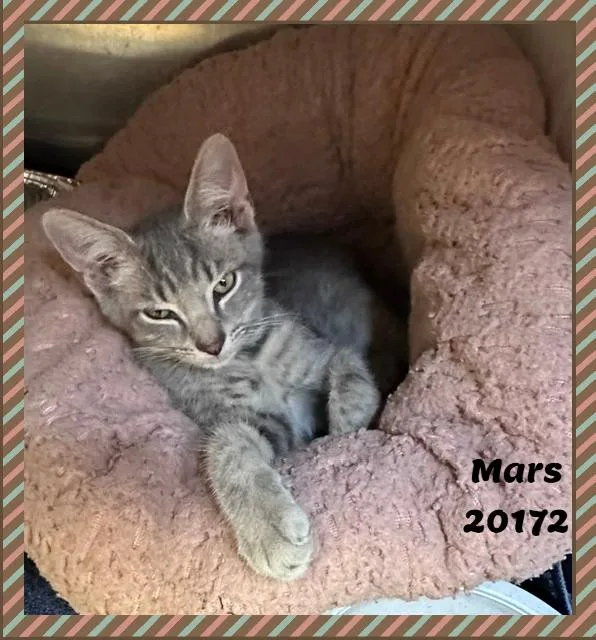 Mars thumbnail 2