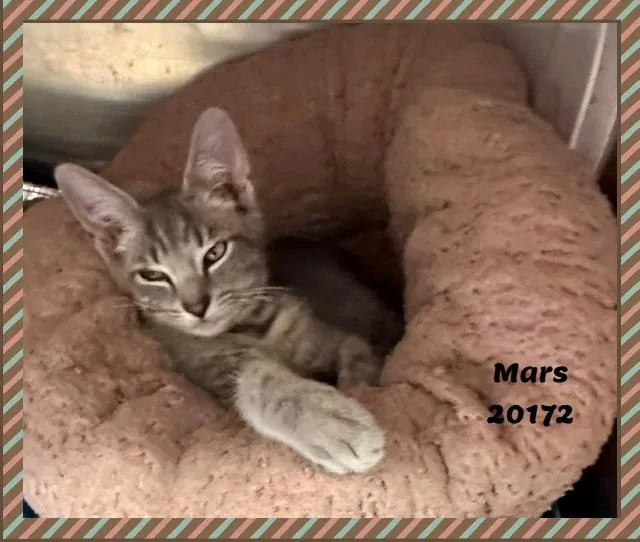 Mars thumbnail 3