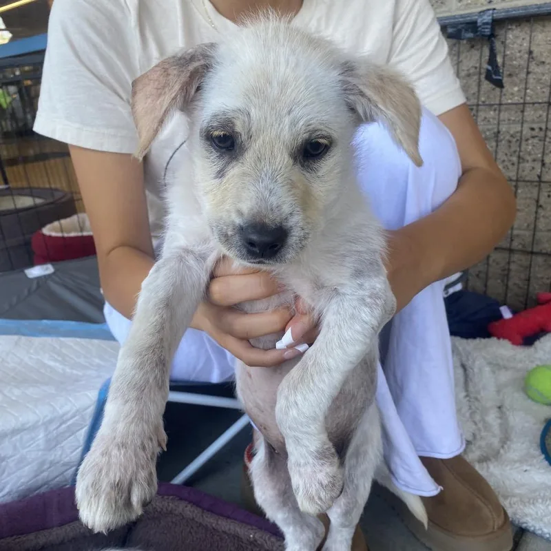 Sparkles thumbnail 2