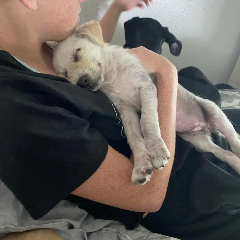 Sparkles thumbnail 3