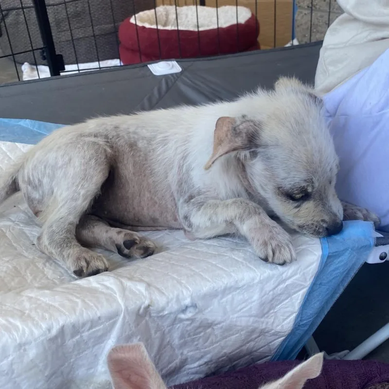 Sparkles thumbnail 4