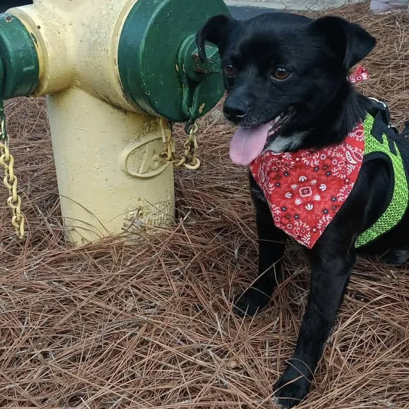 Mackenzie thumbnail 3