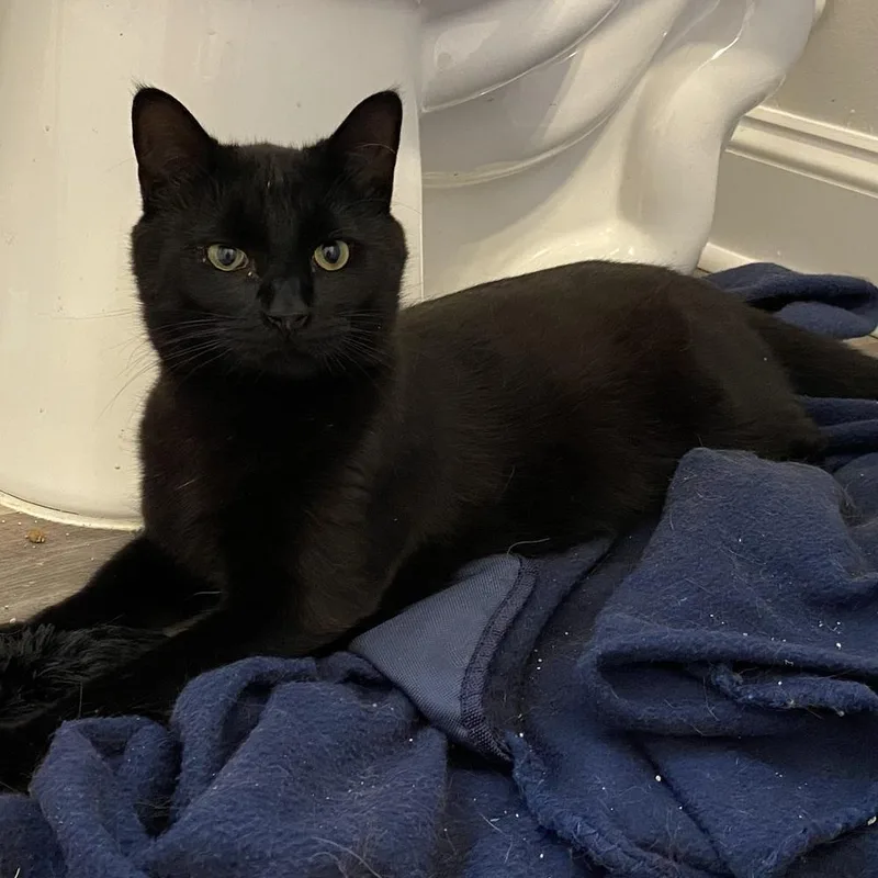 Colby Cr thumbnail 2