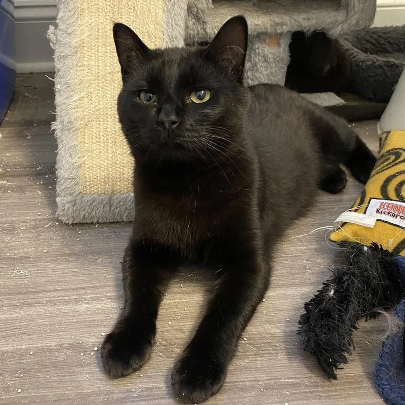 Colby Cr thumbnail 3