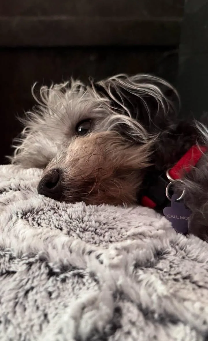Maggie thumbnail 5