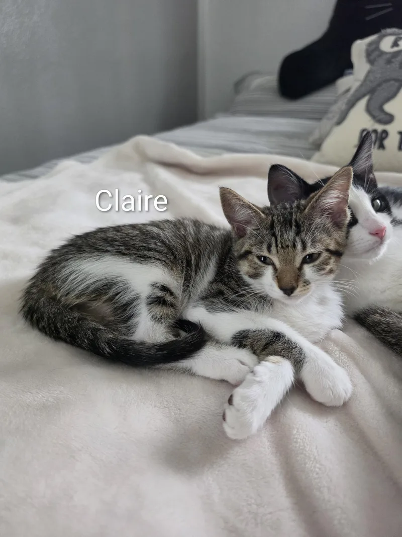 Claire thumbnail 3