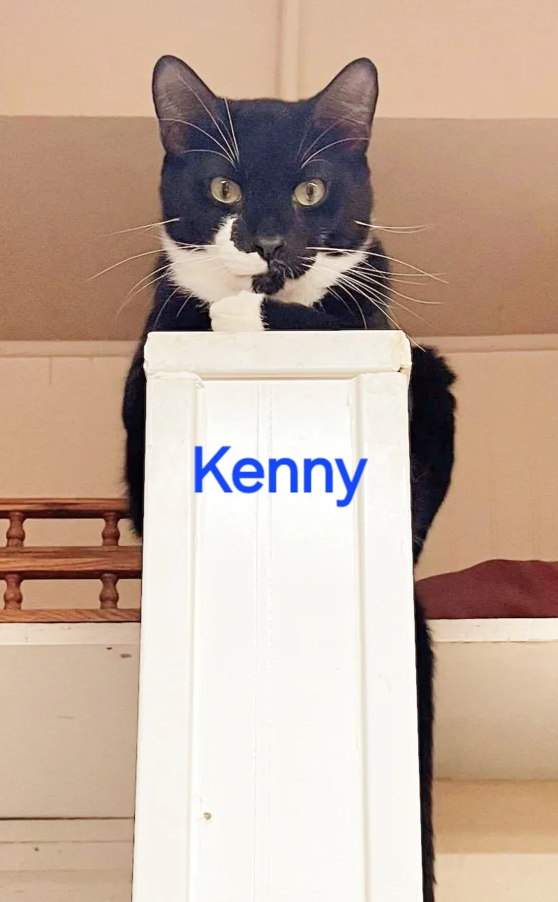 Kenny thumbnail 5
