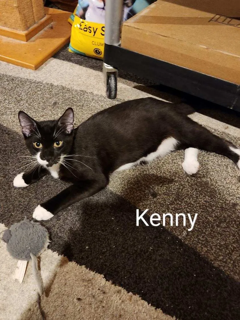 Kenny thumbnail 6
