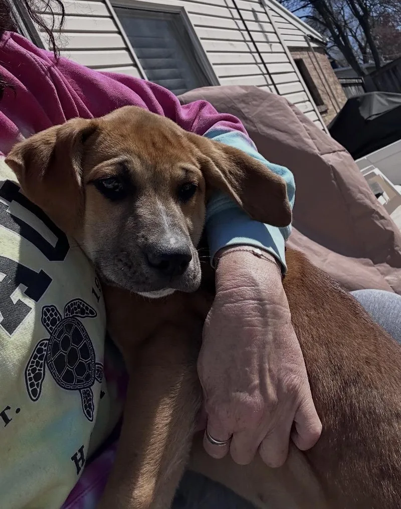 Finnegan thumbnail 3