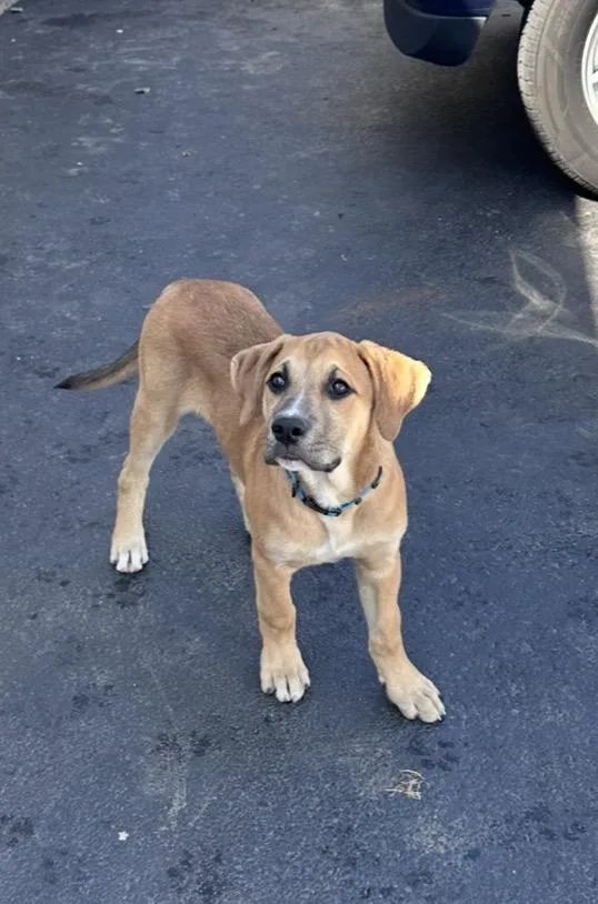 Finnegan thumbnail 5