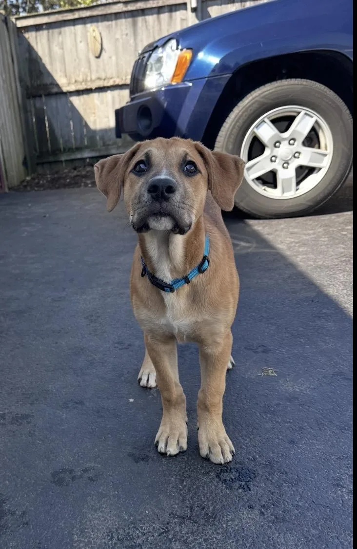 Finnegan thumbnail 6